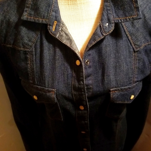 NWT Gap Western Denim Dress - Picture 2 of 9